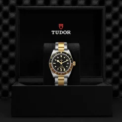 Black Bay GMT S&G