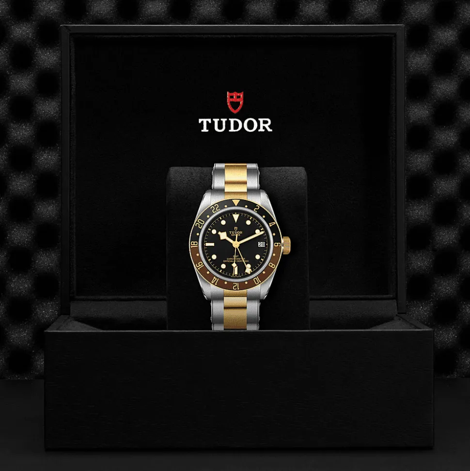 Black Bay GMT S&G