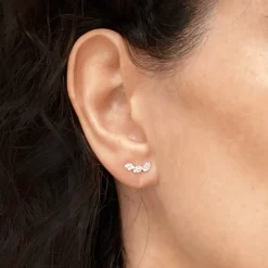 Collection Leaves and crossed Earring Gold, Diamond