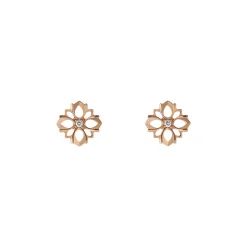 Earrings RG Diamond