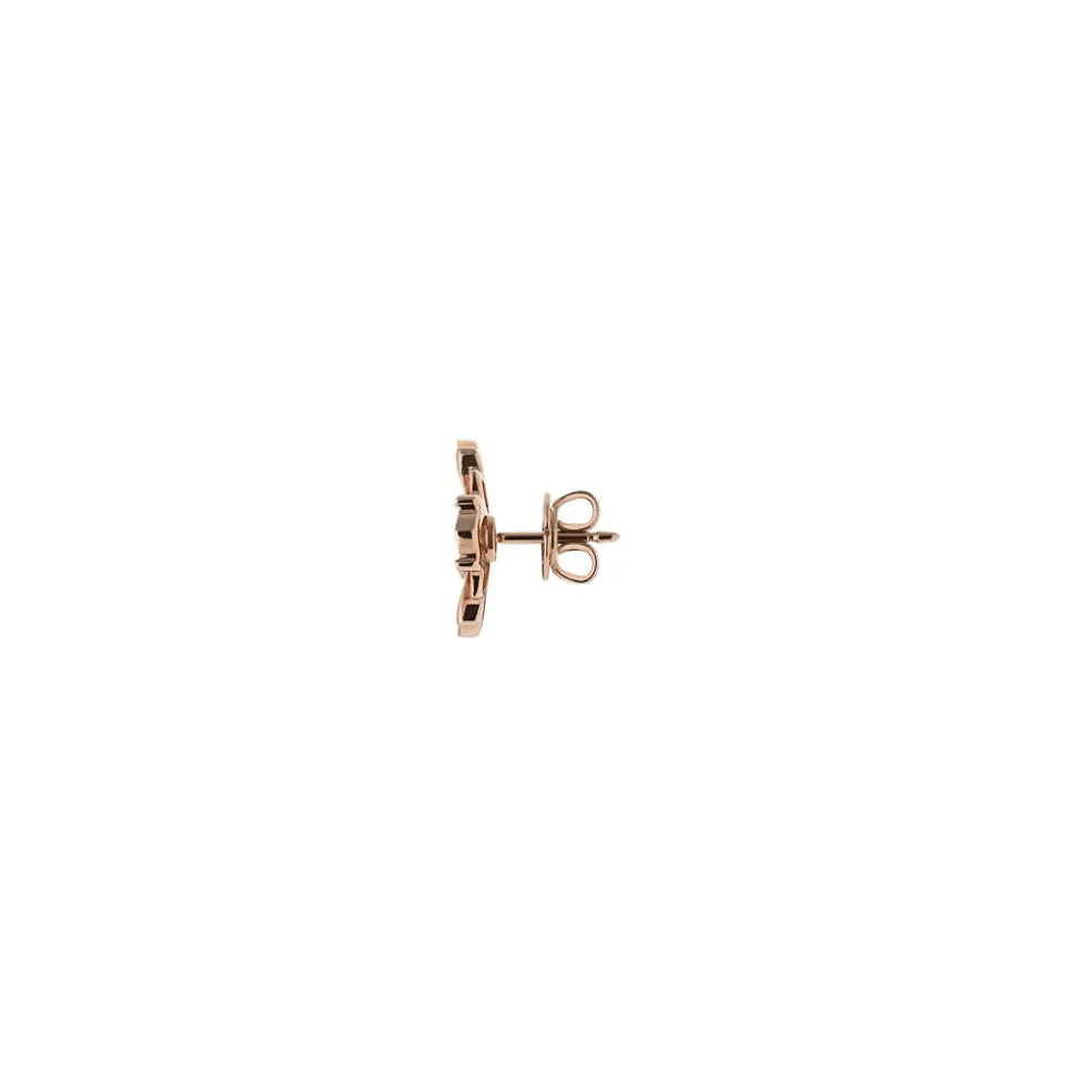 Earrings RG Diamond