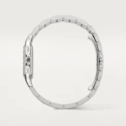 Panthère de Cartier