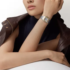 Santos de Cartier Small