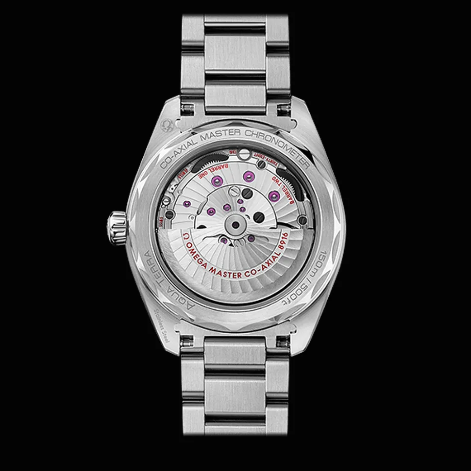 Seamaster Aqua Terra 150M 41mm