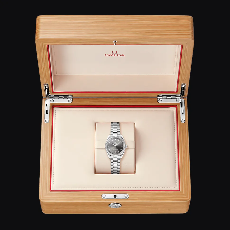 Seamaster Aqua Terra 150M 30mm