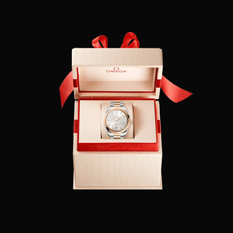 Seamaster Aqua Terra 150M 38mm