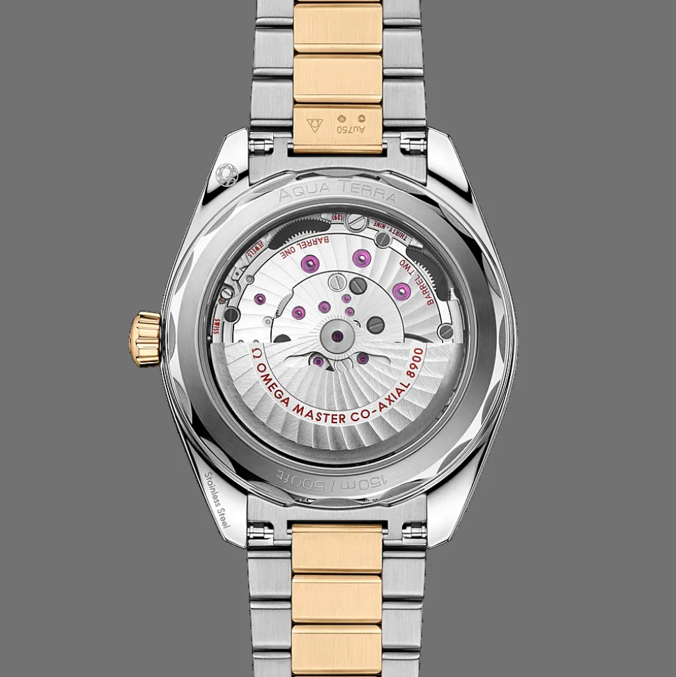 Seamaster Aqua Terra 150M 41mm