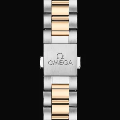 Seamaster Aqua Terra 150M 41mm