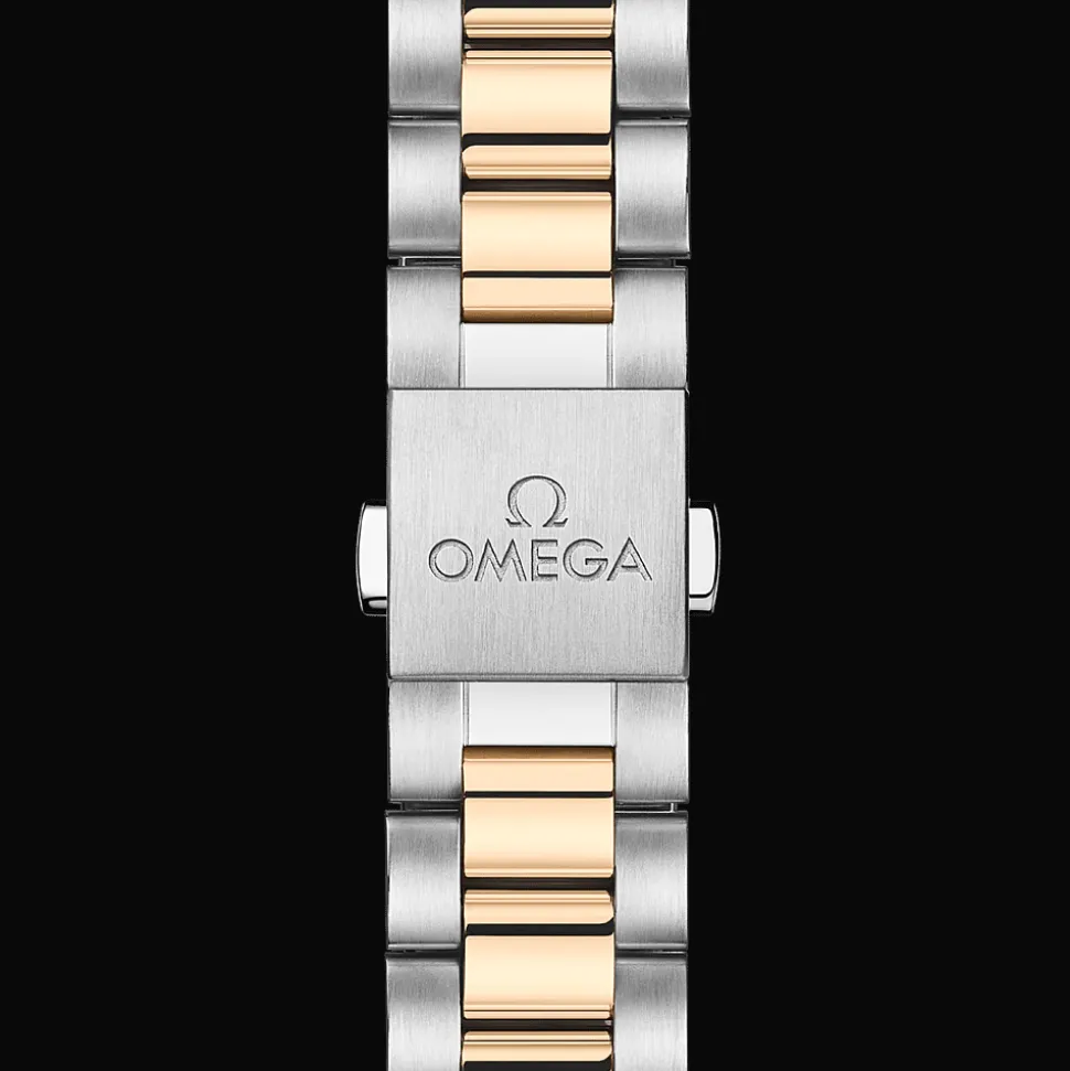 Seamaster Aqua Terra 150M 41mm