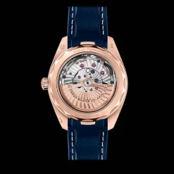 Seamaster Aqua Terra 150M 41mm