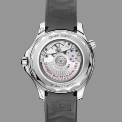 Seamaster Diver 300M