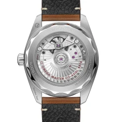 Seamaster Railmaster