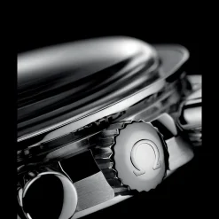 Speedmaster Moonwatch Professional